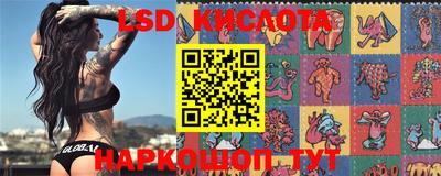 PSILOCYBIN Можга
