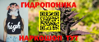 PSILOCYBIN Можга
