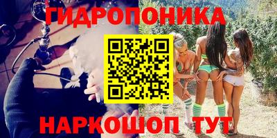 PSILOCYBIN Можга
