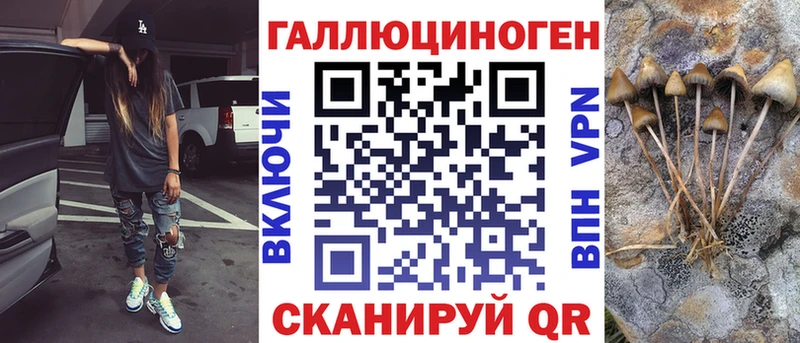 Галлюциногенные грибы Psilocybe  OMG ссылка  Благодарный  продажа наркотиков 