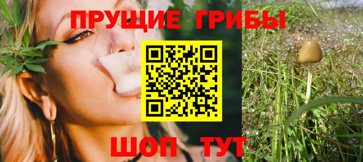 Псилоцибиновые грибы GOLDEN TEACHER Благодарный